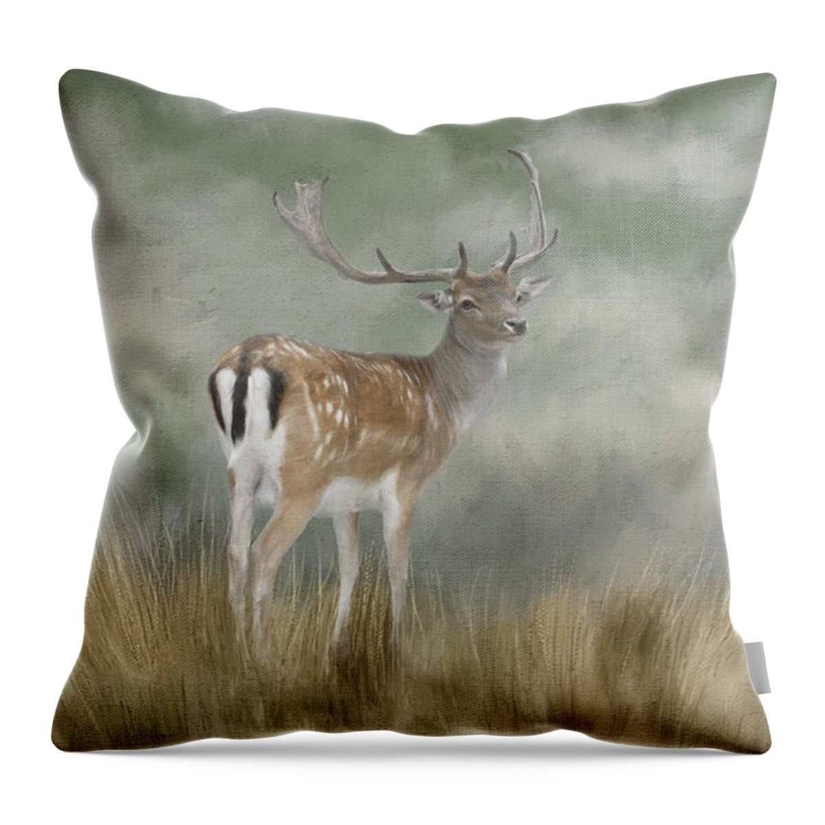 Fallow Deer Throw Pillow featuring the digital art Fallow Deer Portrait II by Jayne Carney