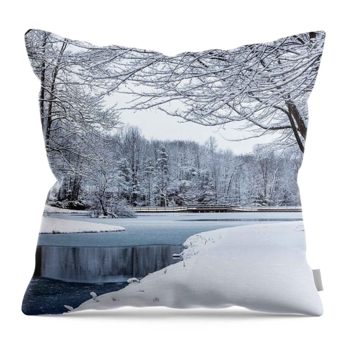 Oberon Throw Pillow featuring the photograph First Snow by Everet Regal