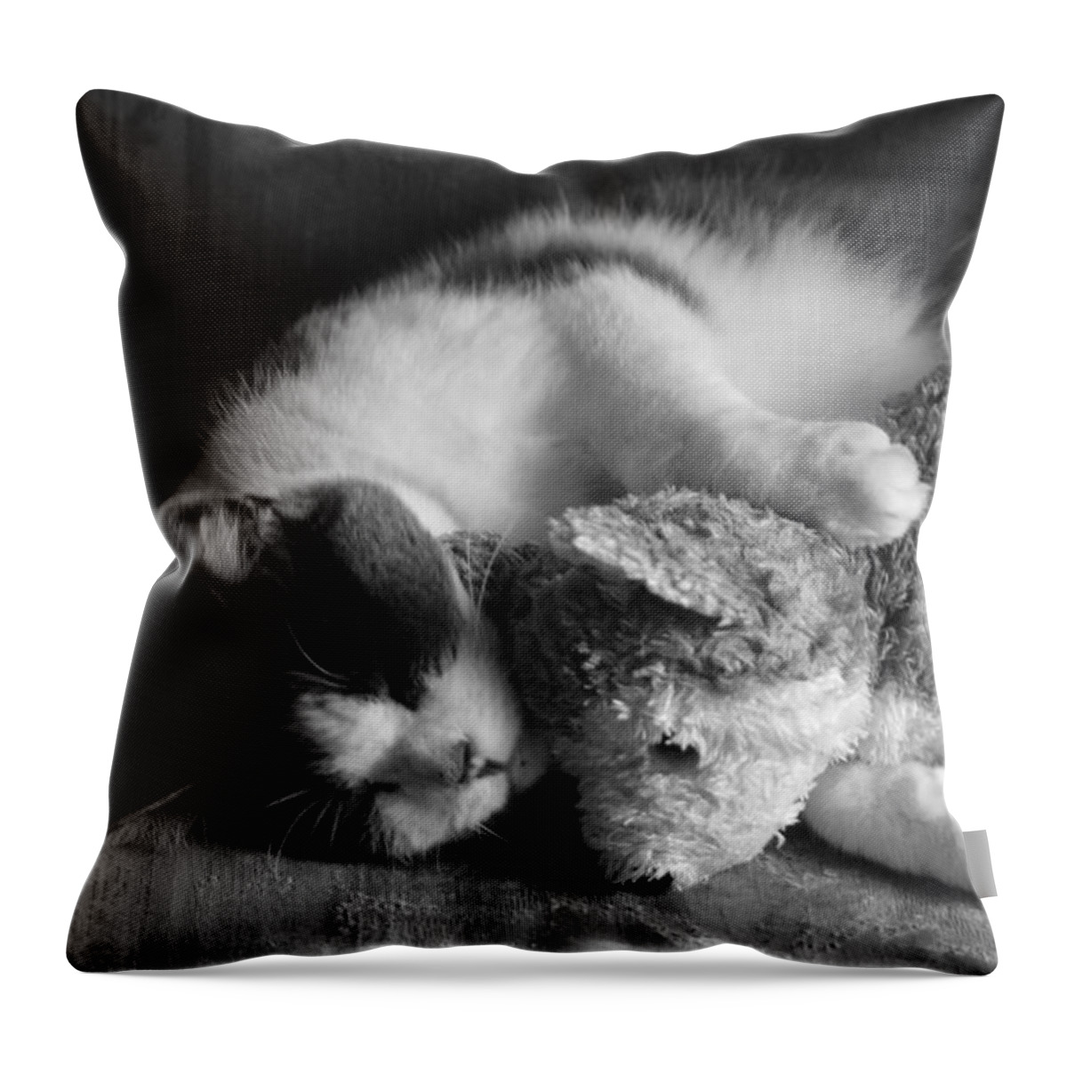  Throw Pillow featuring the photograph Friends by Michelle Hoffmann