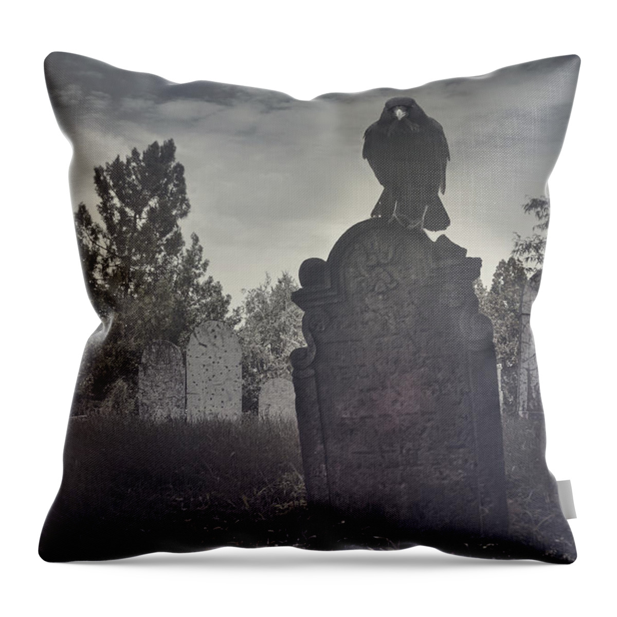 Graveyard Throw Pillow featuring the photograph Graveyard by Jelena Jovanovic