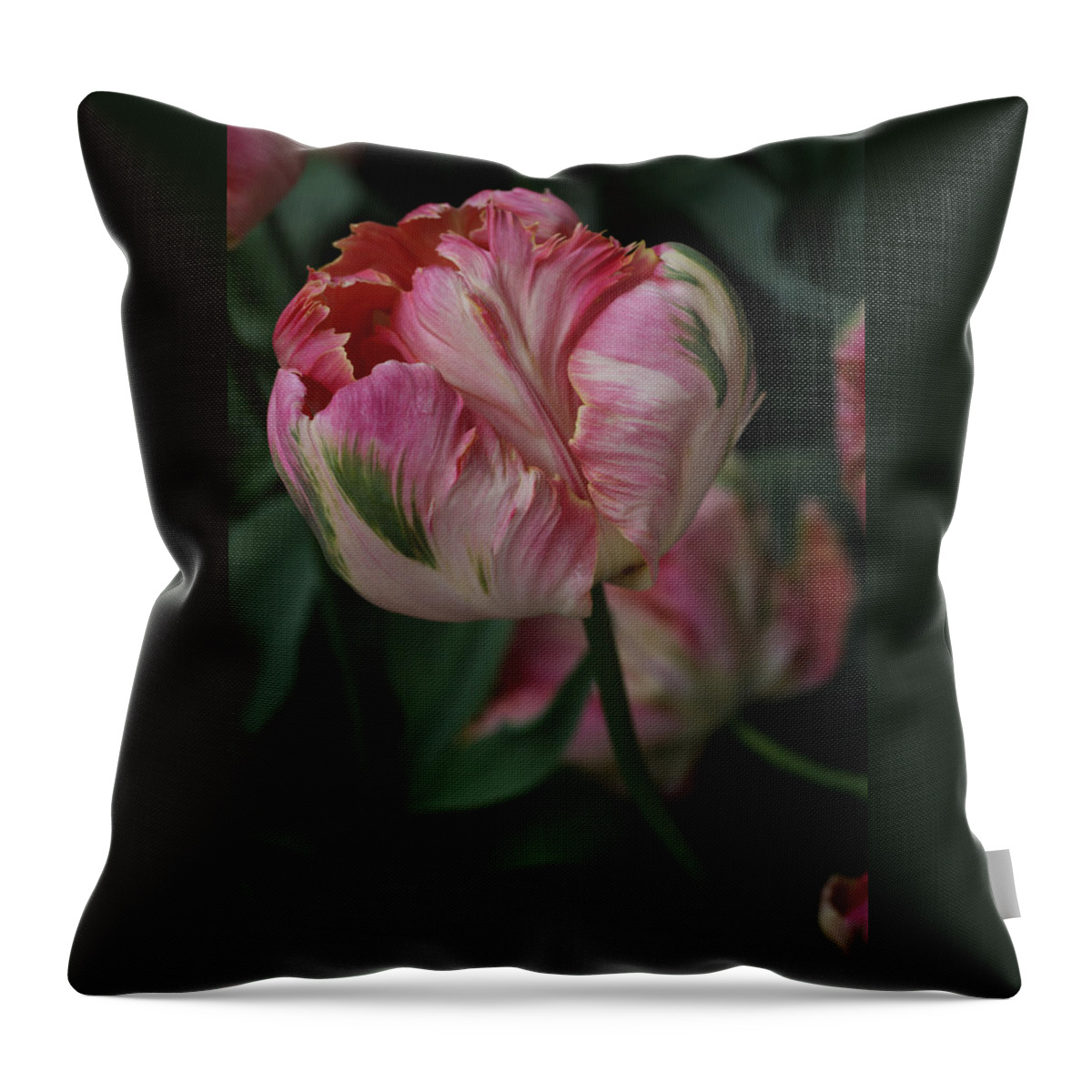 Tulip Throw Pillow featuring the photograph Green Wave Parrot Tulip by Tammy Pool