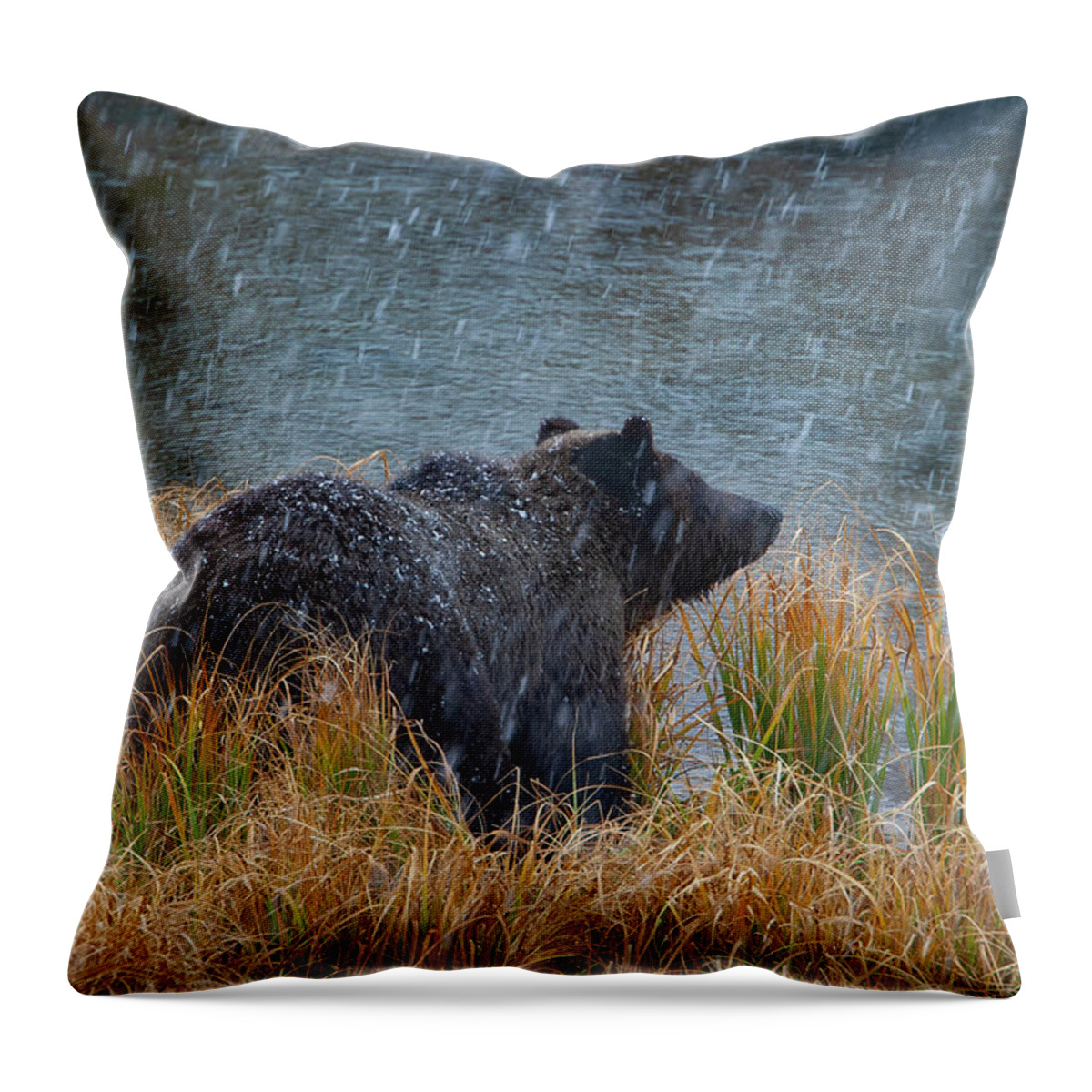 Mark Miller Photos Throw Pillow featuring the photograph Grizzly in Falling Snow by Mark Miller