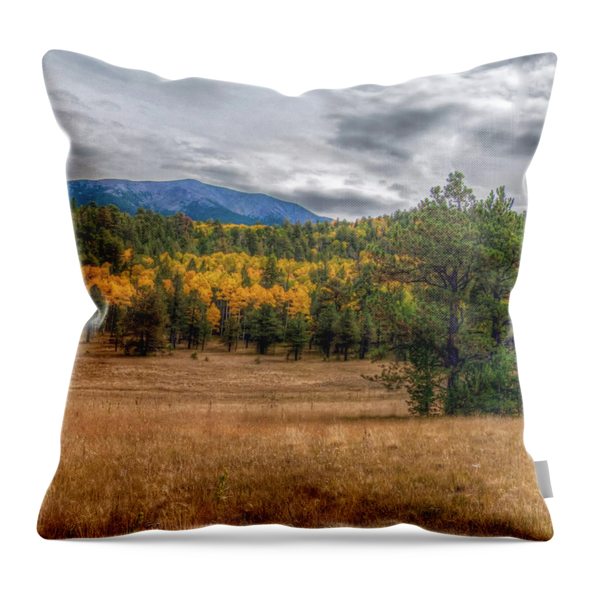 Aspen Trees Throw Pillow featuring the photograph Hart Prairie by Tam Ryan