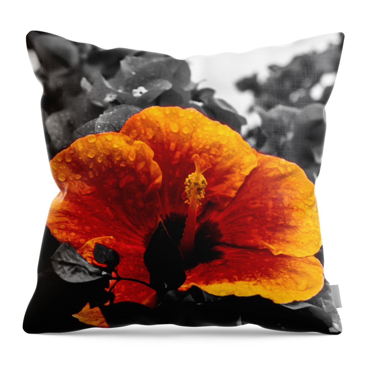 Flower Throw Pillow featuring the photograph Hibiscus Beauty by Randy Sylvia