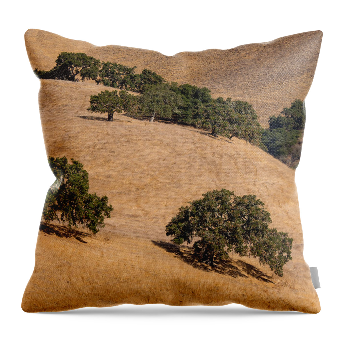 Carmel Valley Throw Pillow featuring the photograph Hillside Oaks by Derek Dean