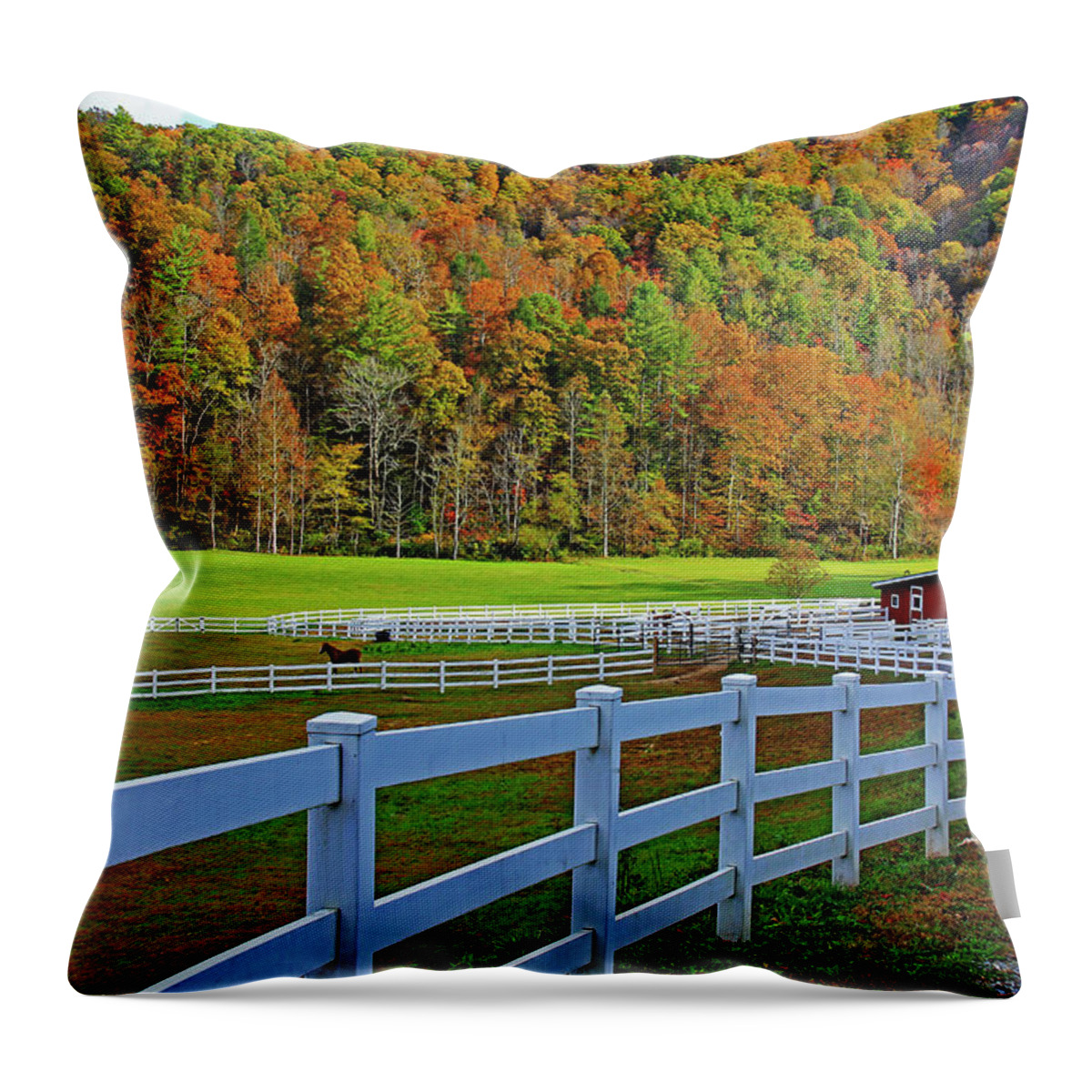 Horse Throw Pillow featuring the photograph Horse Farm by Richard Krebs