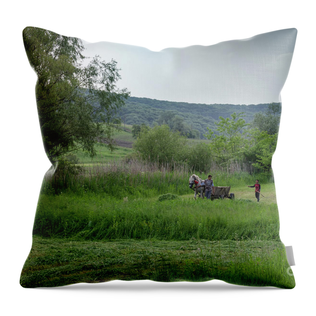 Malancrav Throw Pillow featuring the photograph Horsedrawn Haycart, Transylvania 2 by Perry Rodriguez