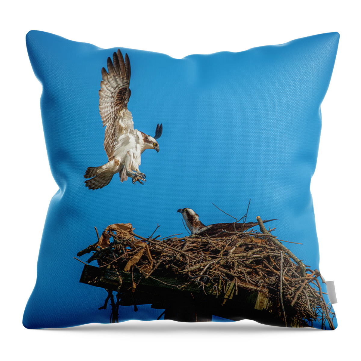 Raptor Throw Pillow featuring the photograph Incoming by Cathy Kovarik