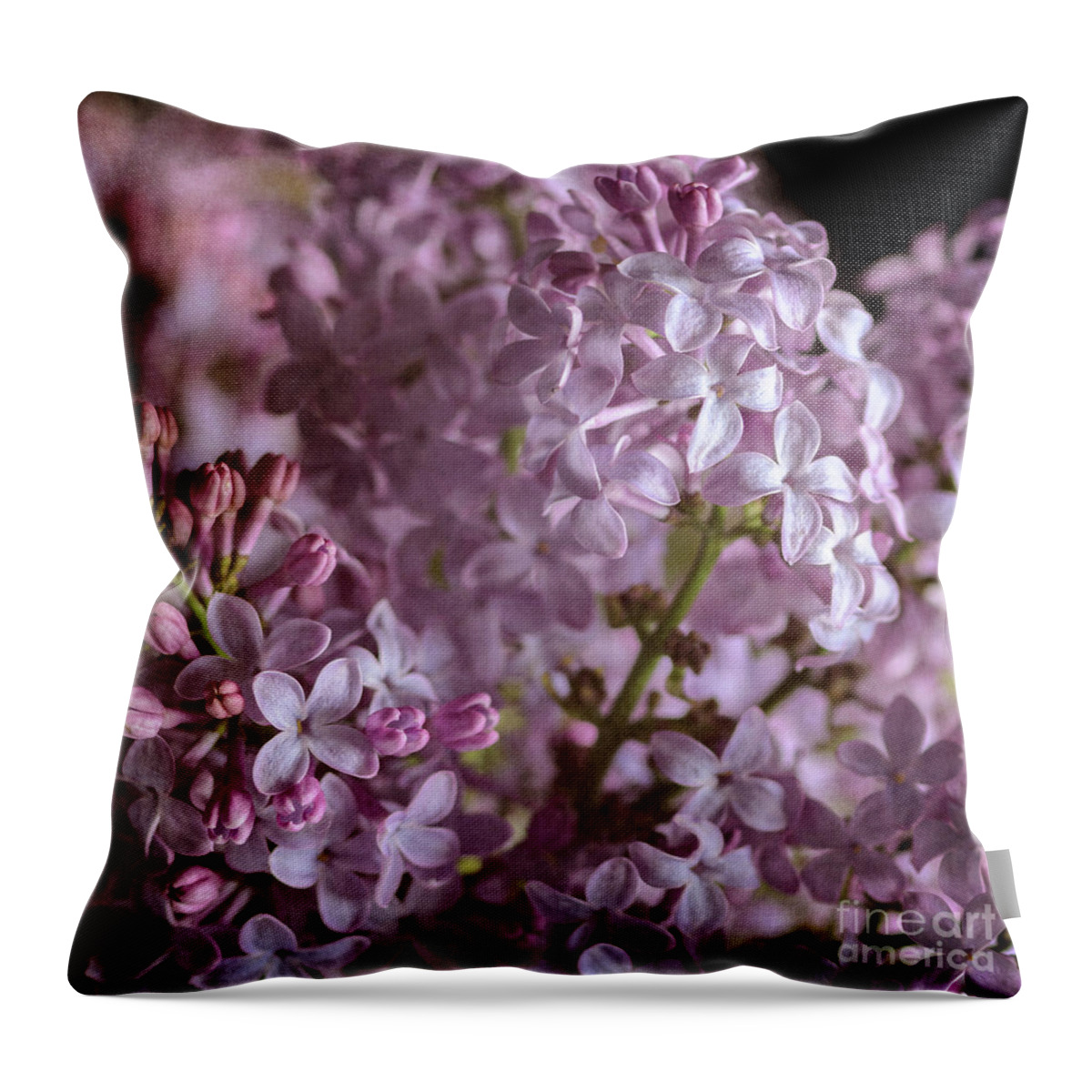 Lilacs Throw Pillow featuring the photograph Lilac Bouquet II by Tamara Becker