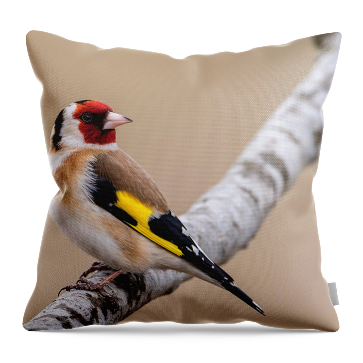 Looking Behind Throw Pillow featuring the photograph Looking behind2 by Torbjorn Swenelius