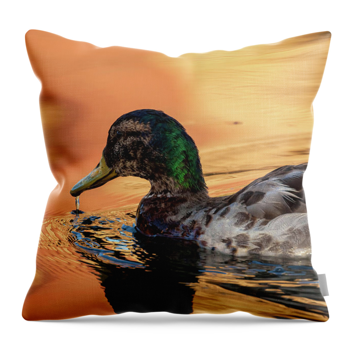 Mallard Duck Throw Pillow featuring the photograph Searching For Breakfast by Jonathan Nguyen