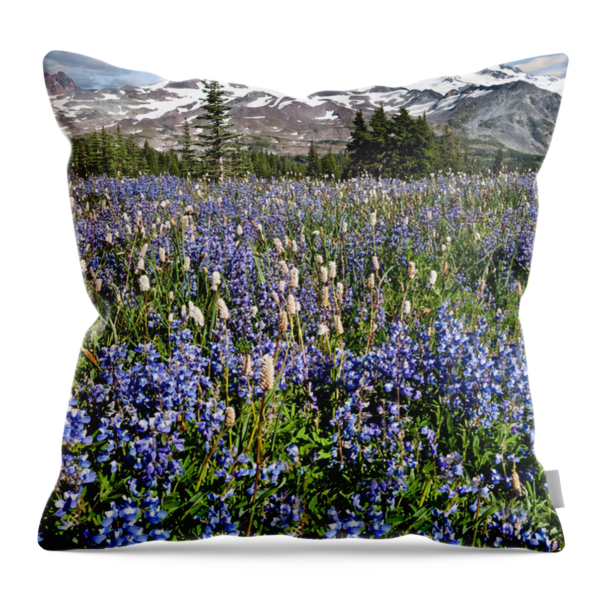 Alpine Throw Pillow featuring the photograph Meadow of Lupine Near Mount Rainier by Jeff Goulden