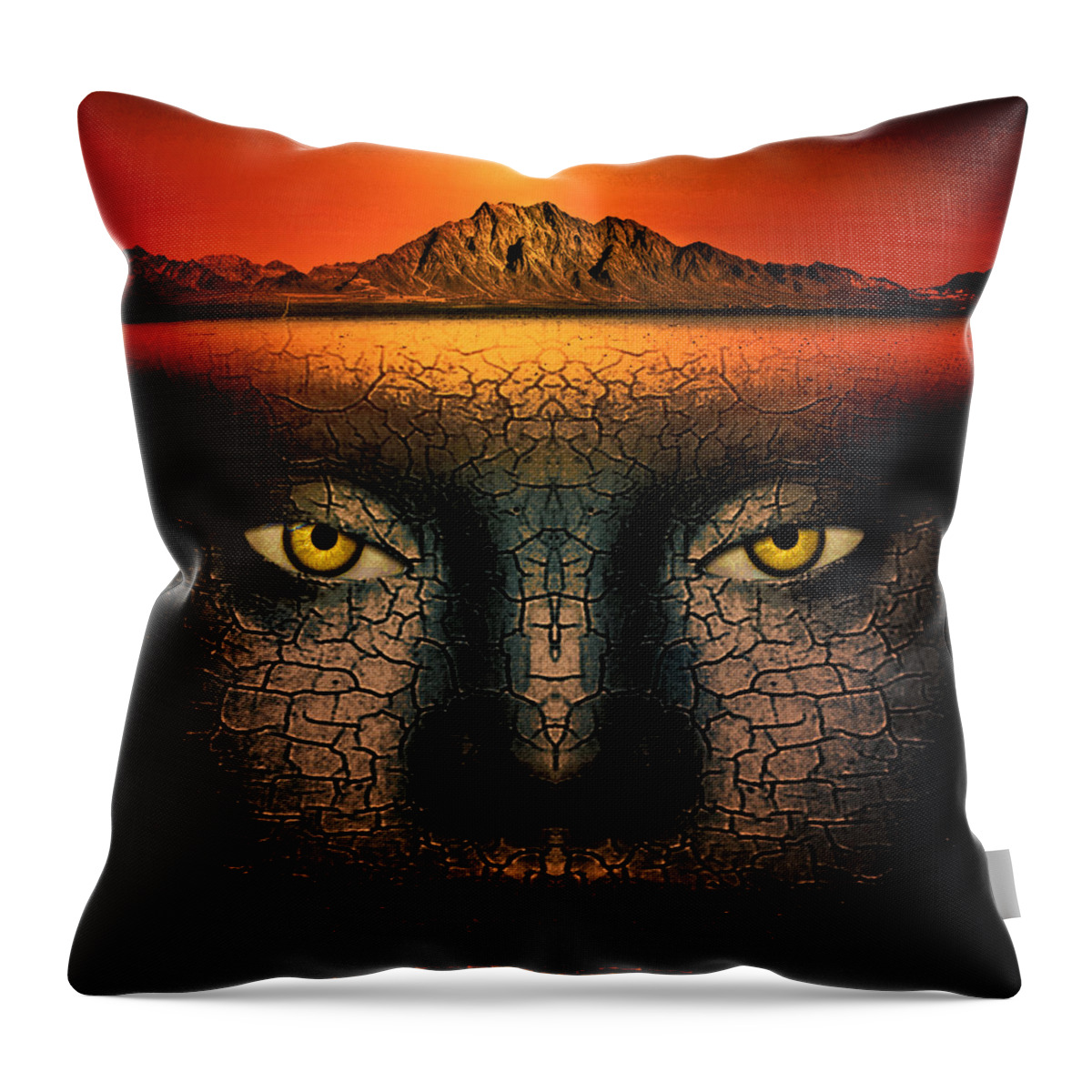 Composite Throw Pillow featuring the photograph Mirage by Jim Painter