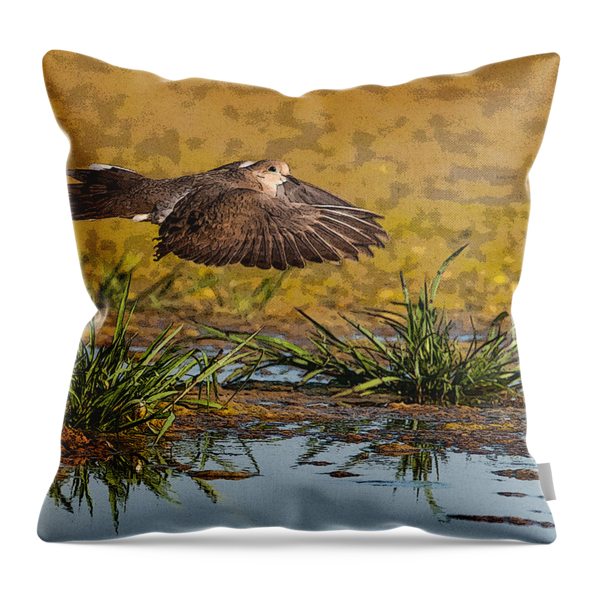 Mourning Dove Throw Pillow featuring the photograph Mourning Dove in Flight #1 by Tam Ryan