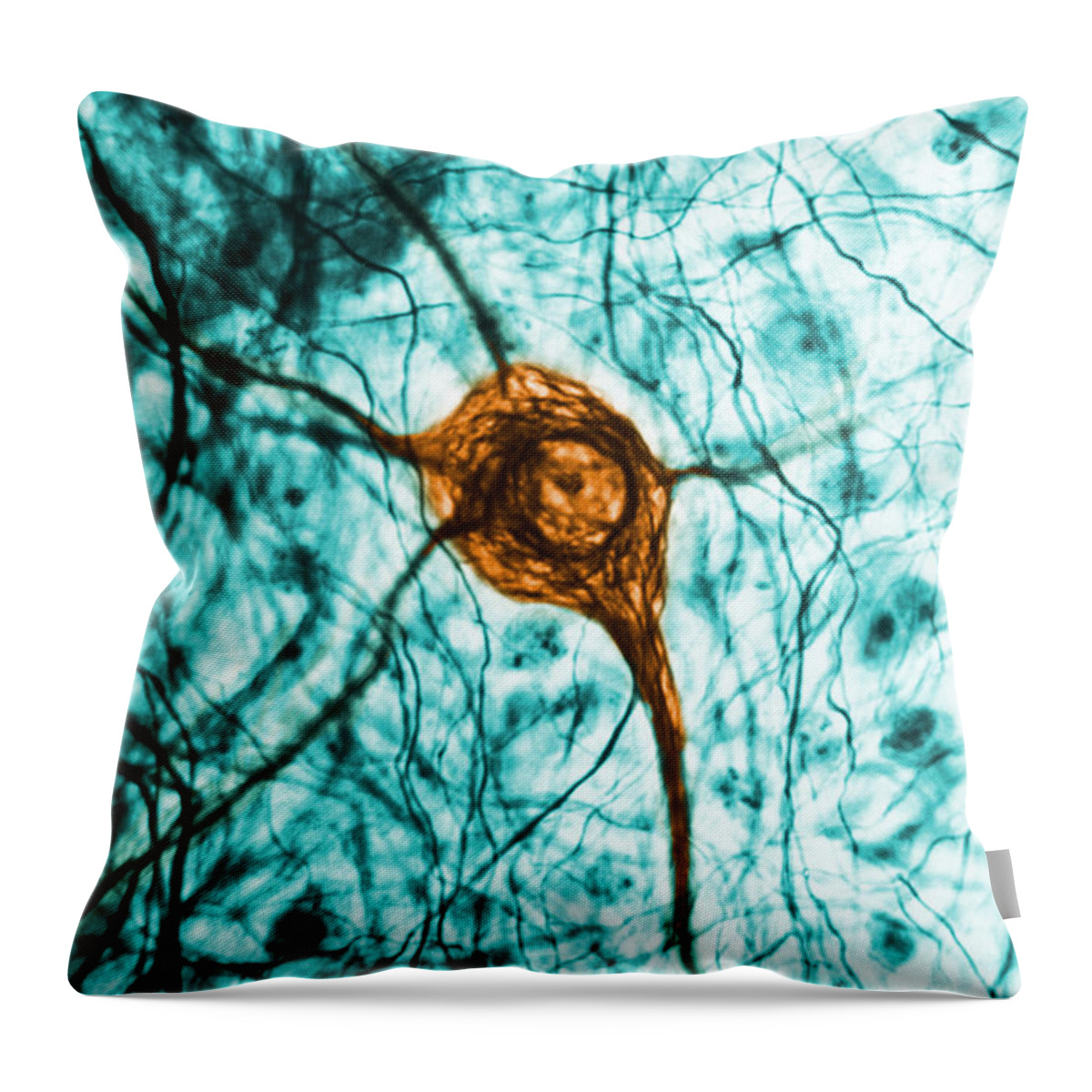 Cell Throw Pillow featuring the photograph Neuron, Tem by Science Source