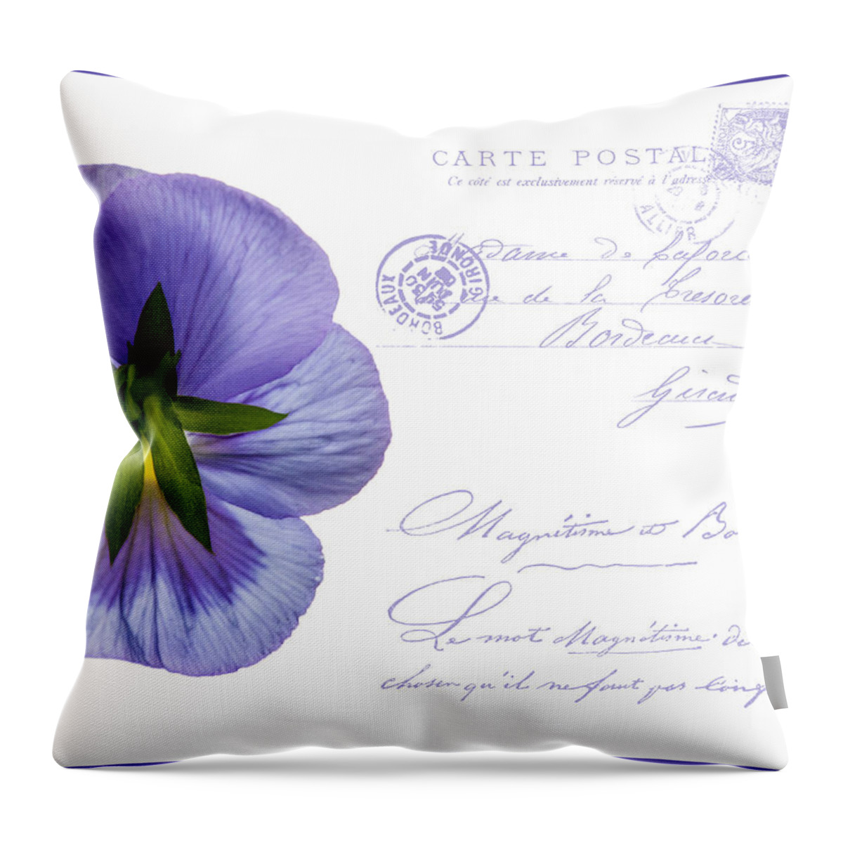 Postcard Throw Pillow featuring the photograph Pansy Postcard by Cathy Kovarik