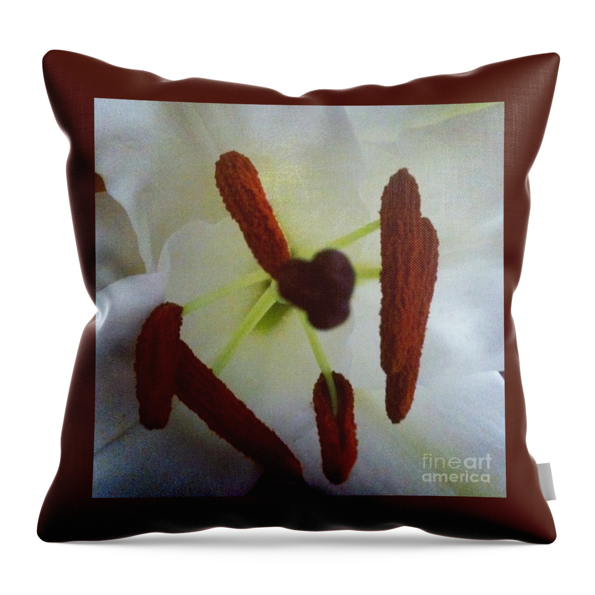 Flower Throw Pillow featuring the photograph Peek by Denise Railey