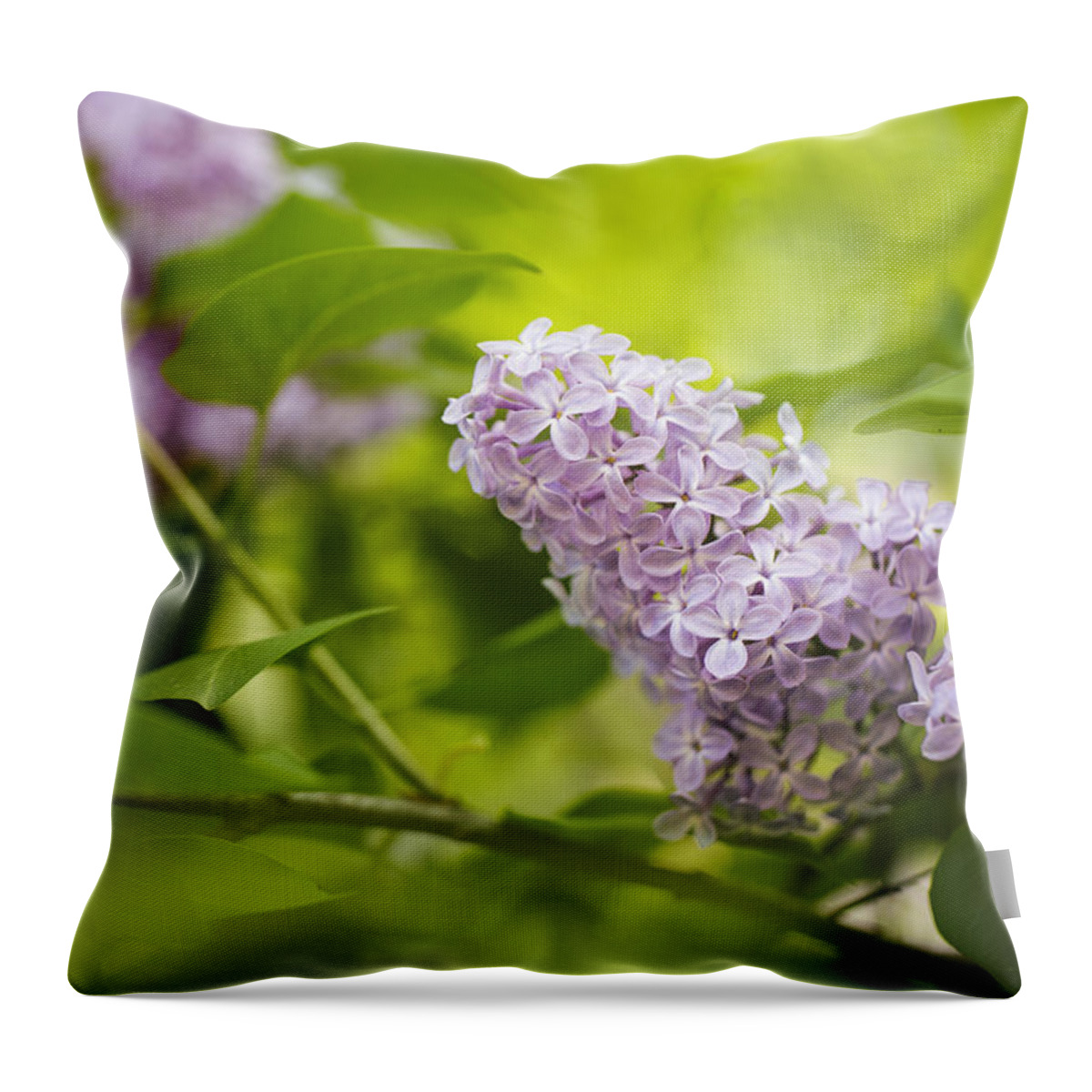 Lilac Throw Pillow featuring the photograph Purple Lilac by Nailia Schwarz