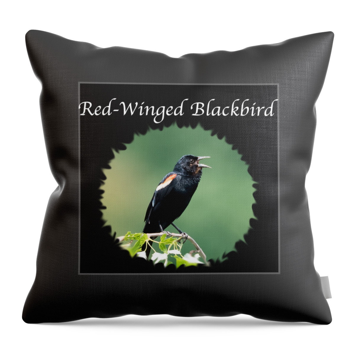 Red-winged Blackbird Throw Pillow featuring the photograph Red-Winged Blackbird by Holden The Moment