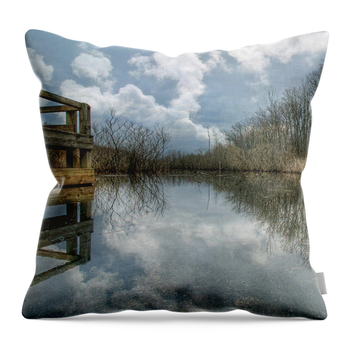 Reflect Throw Pillow featuring the photograph Reflection by Jackson Pearson