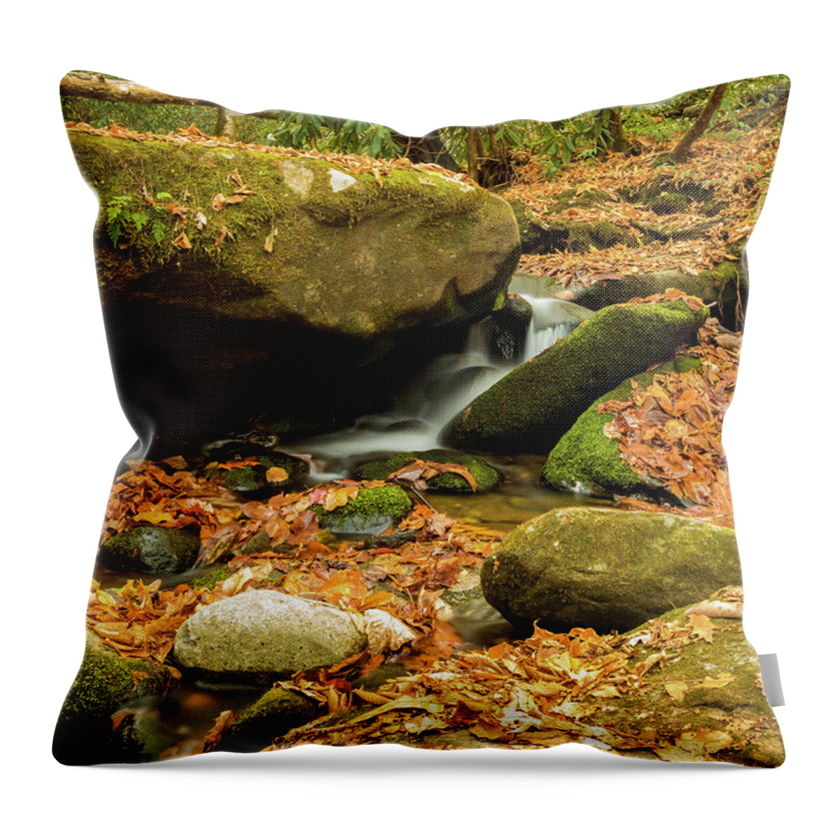 Roaring Fork Throw Pillow featuring the photograph Roaring Fork Creek II by George Kenhan