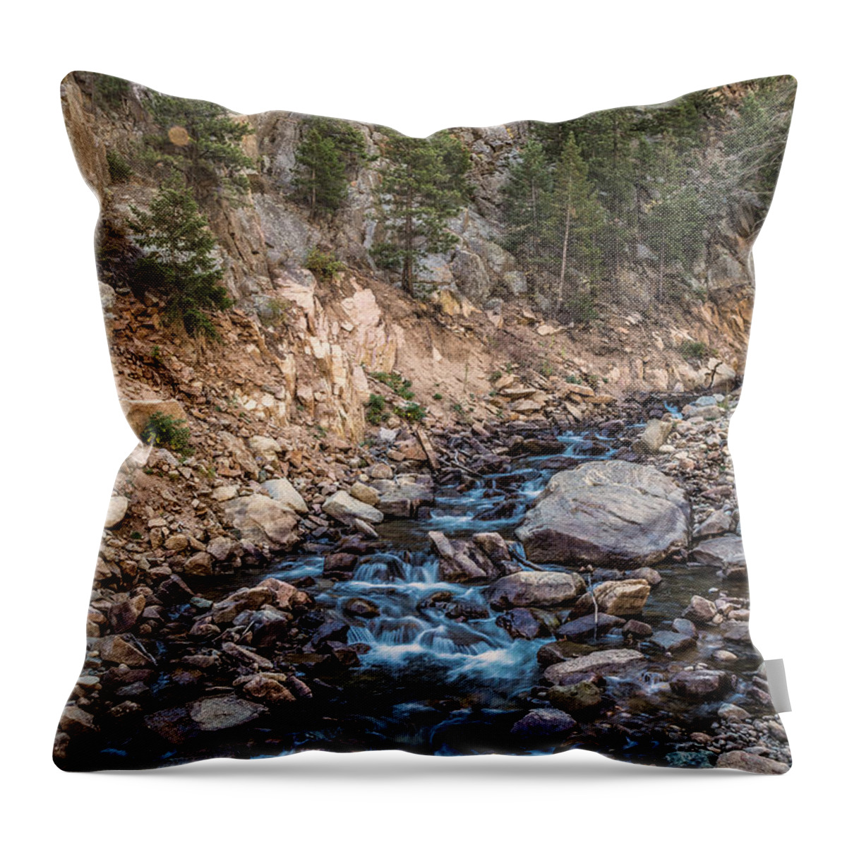 Canyon Throw Pillow featuring the photograph Rocky Mountain Stream by James BO Insogna
