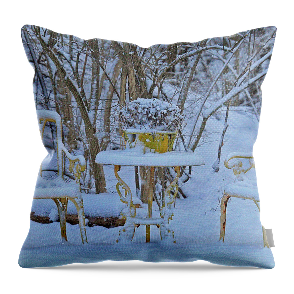 Snowy Sit A Spell Throw Pillow featuring the photograph Snowy Sit a Spell by PJQandFriends Photography