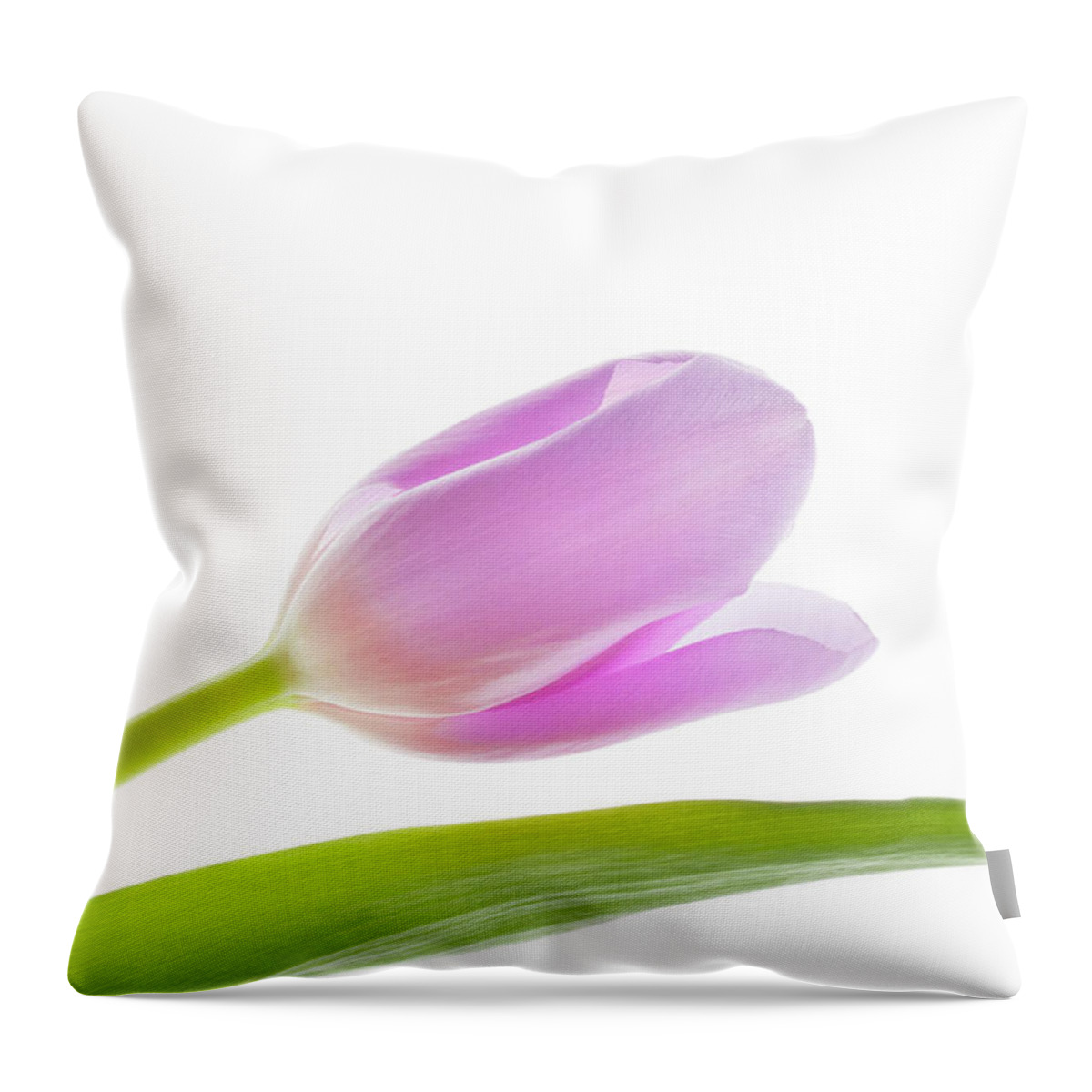 Tulip Throw Pillow featuring the photograph Spring Has Sprung by Patty Colabuono