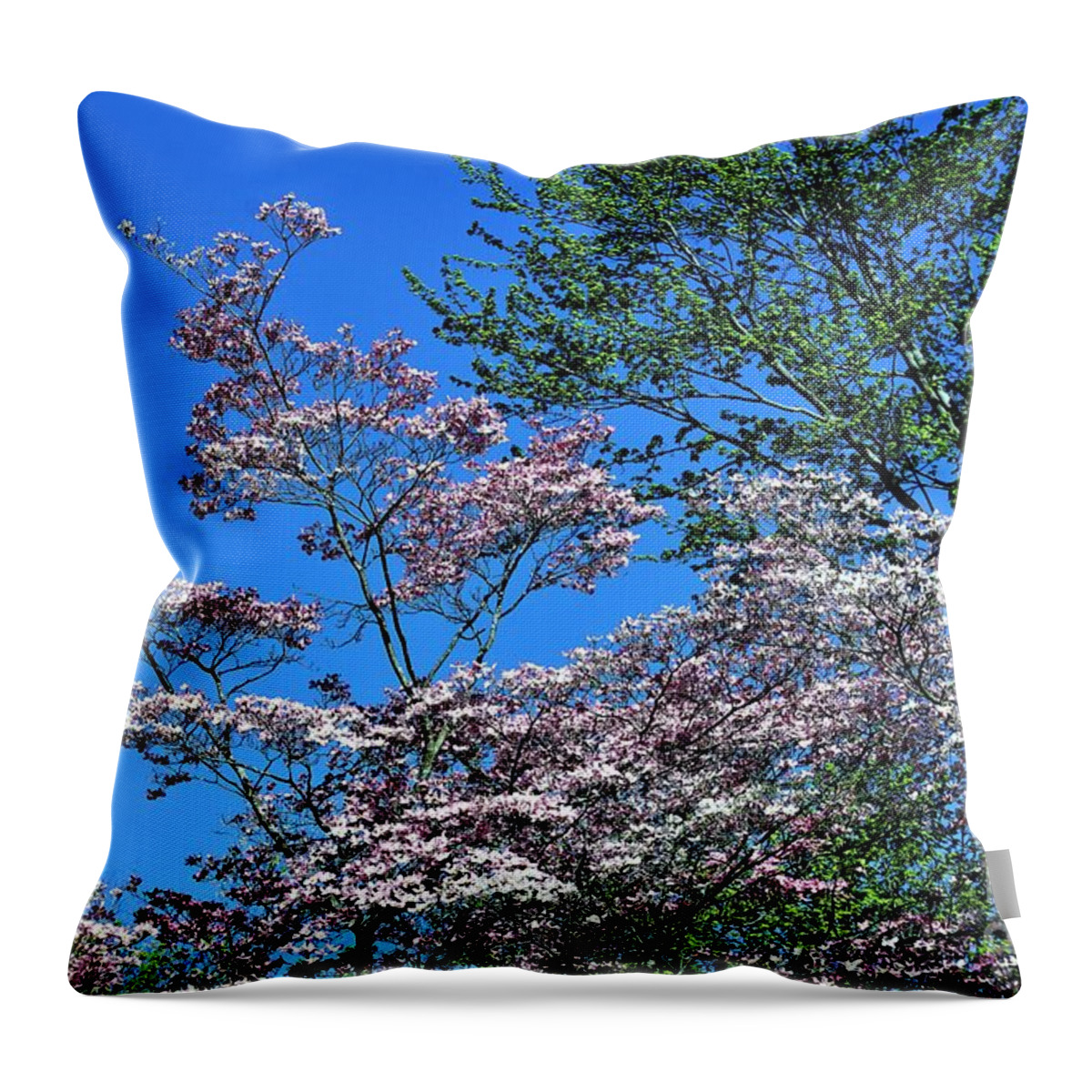 Flowers Throw Pillow featuring the photograph Springtime in Louisville by Merle Grenz