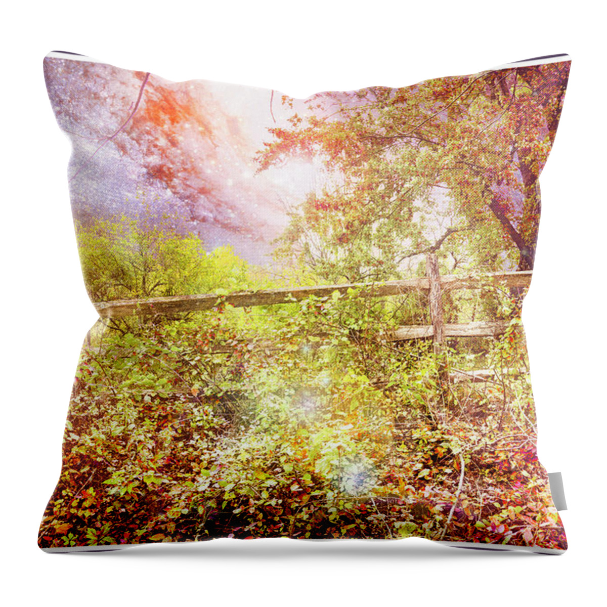 https://render.fineartamerica.com/images/rendered/default/throw-pillow/images/artworkimages/medium/1/1-starry-night-along-rural-thicket-a-gurmankin-nasa.jpg?&targetx=-122&targety=0&imagewidth=723&imageheight=479&modelwidth=479&modelheight=479&backgroundcolor=9D602C&orientation=0&producttype=throwpillow-14-14