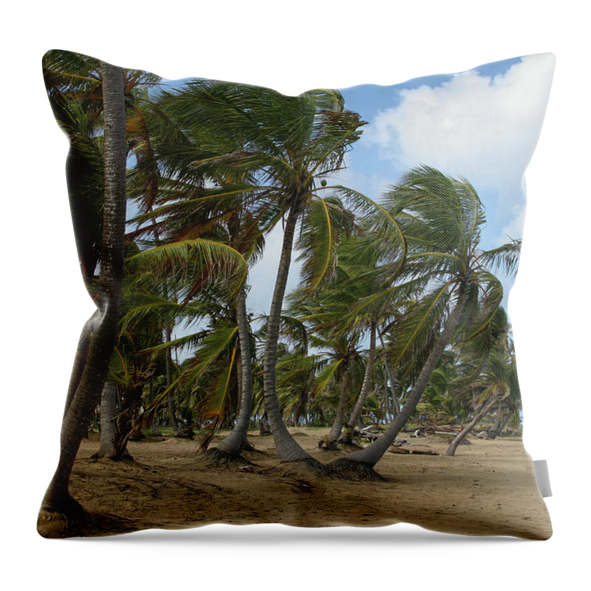 Island Throw Pillow featuring the photograph Sway by Robert Och