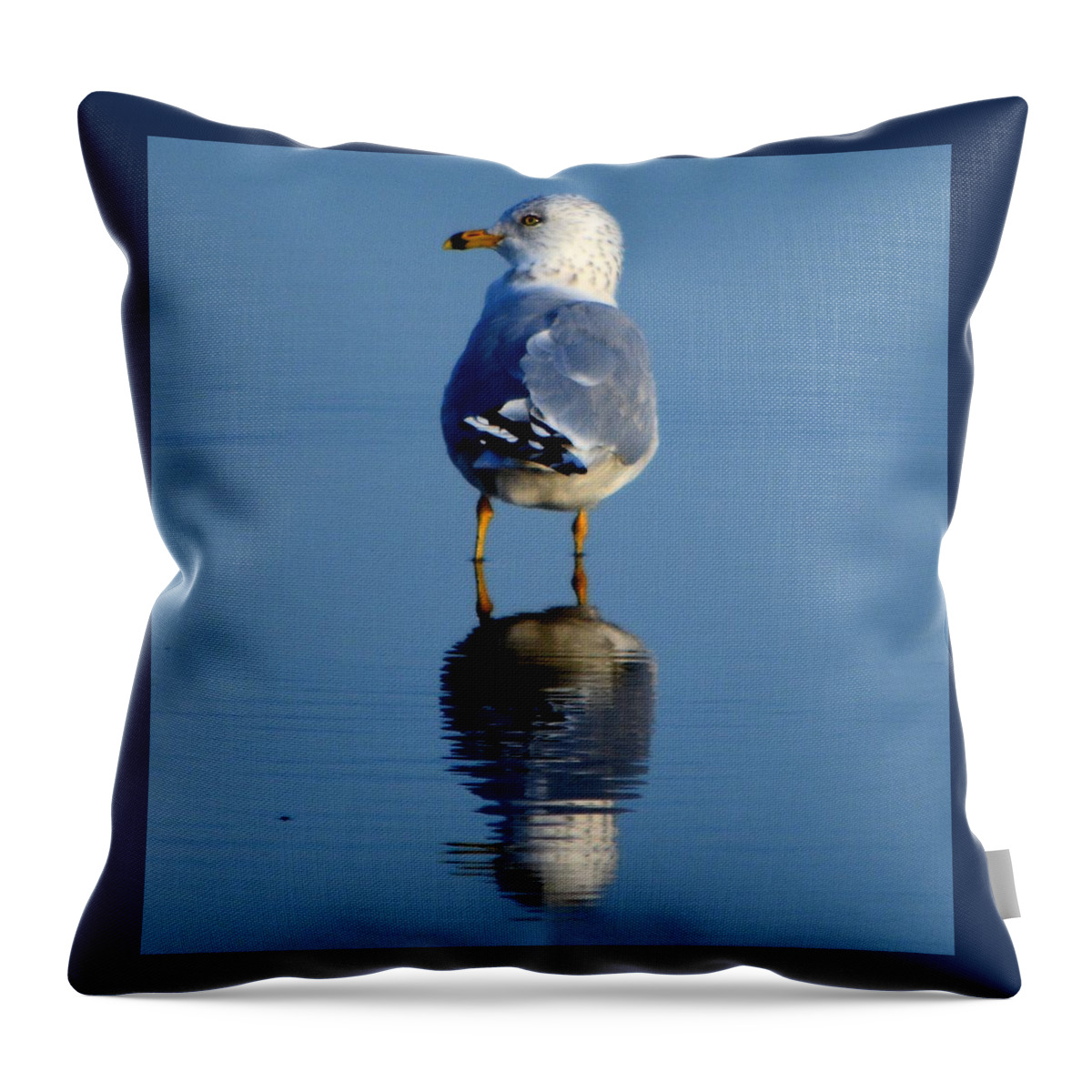 Bird Throw Pillow featuring the photograph Tan Lines by Dani McEvoy