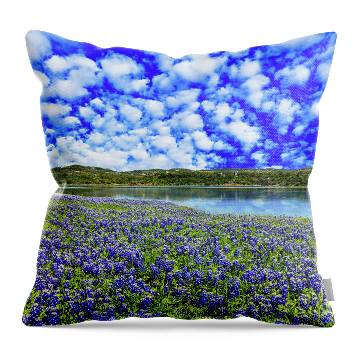 Austin Throw Pillow featuring the photograph Texas Hill Country by Raul Rodriguez