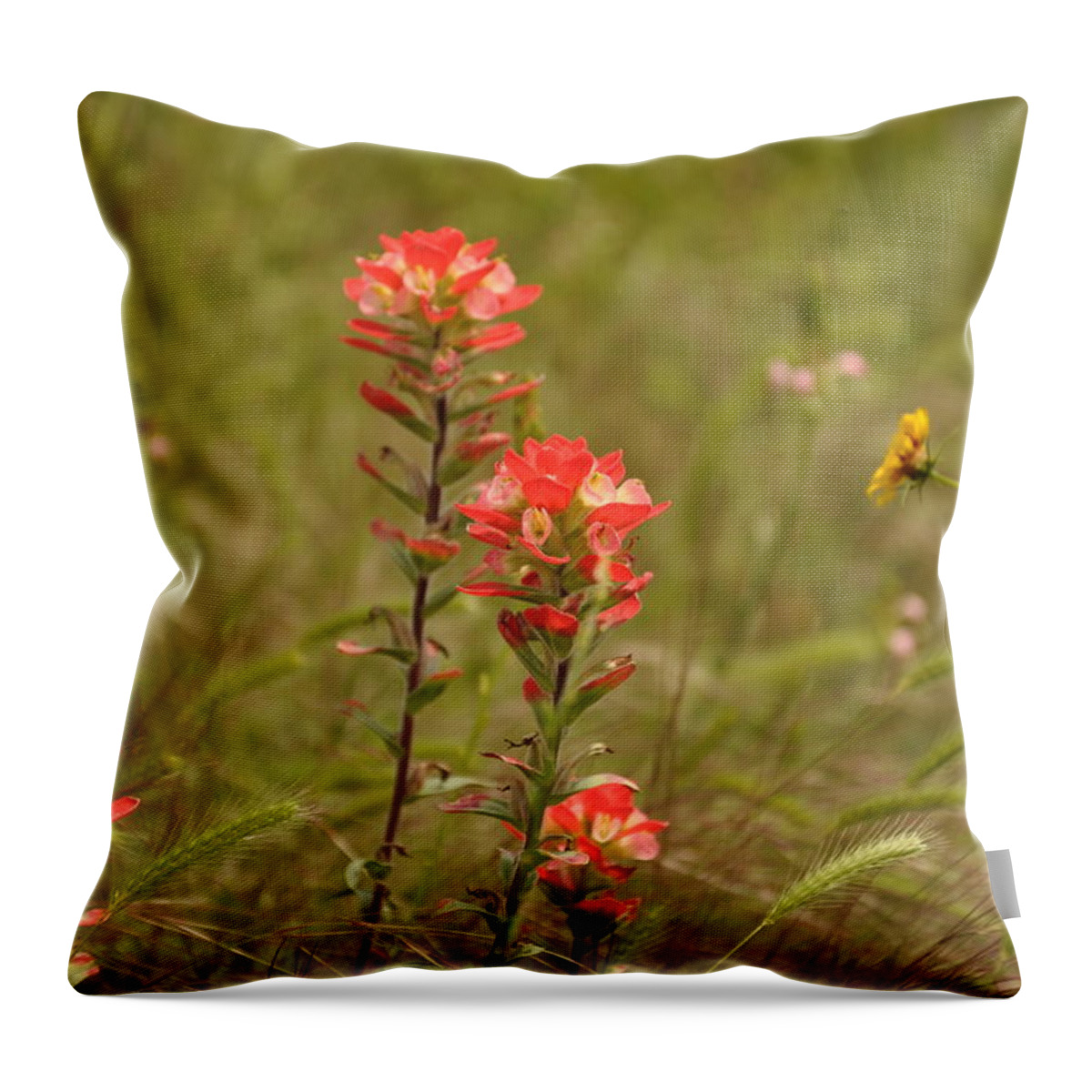 Texas Hill Country Throw Pillow featuring the photograph Texas Paintbrush by Frank Madia