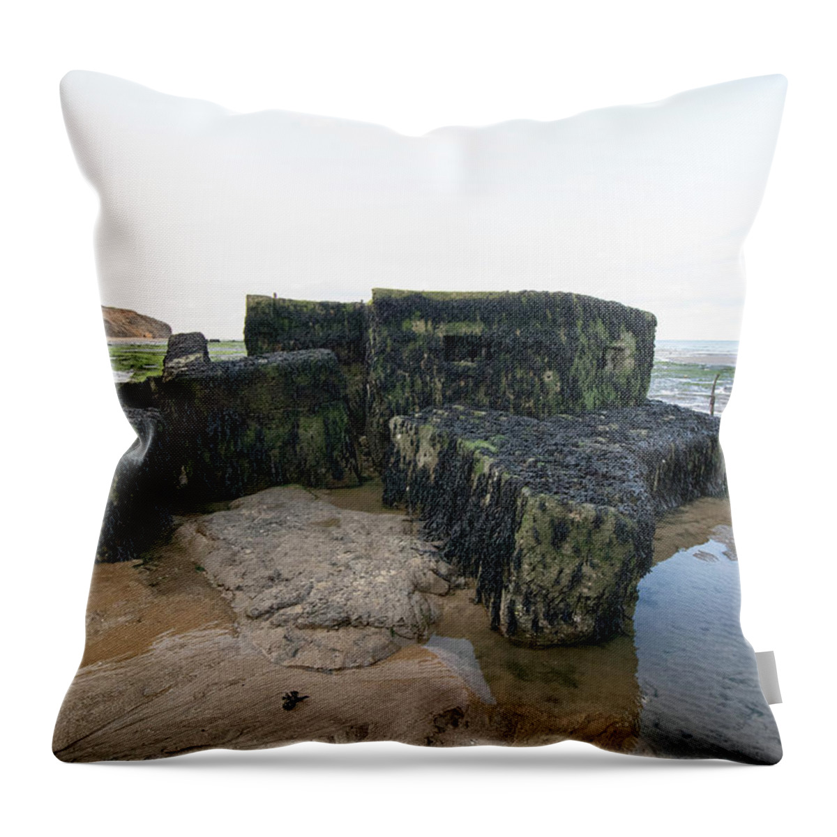 https://render.fineartamerica.com/images/rendered/default/throw-pillow/images/artworkimages/medium/1/1-the-bunker-martin-newman.jpg?&targetx=-119&targety=0&imagewidth=718&imageheight=479&modelwidth=479&modelheight=479&backgroundcolor=62645F&orientation=0&producttype=throwpillow-14-14