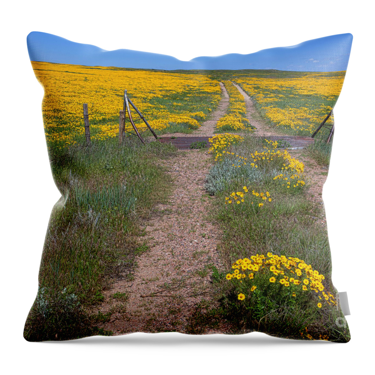 Yellow Wildflowers Throw Pillow featuring the photograph The Golden Gate by Jim Garrison