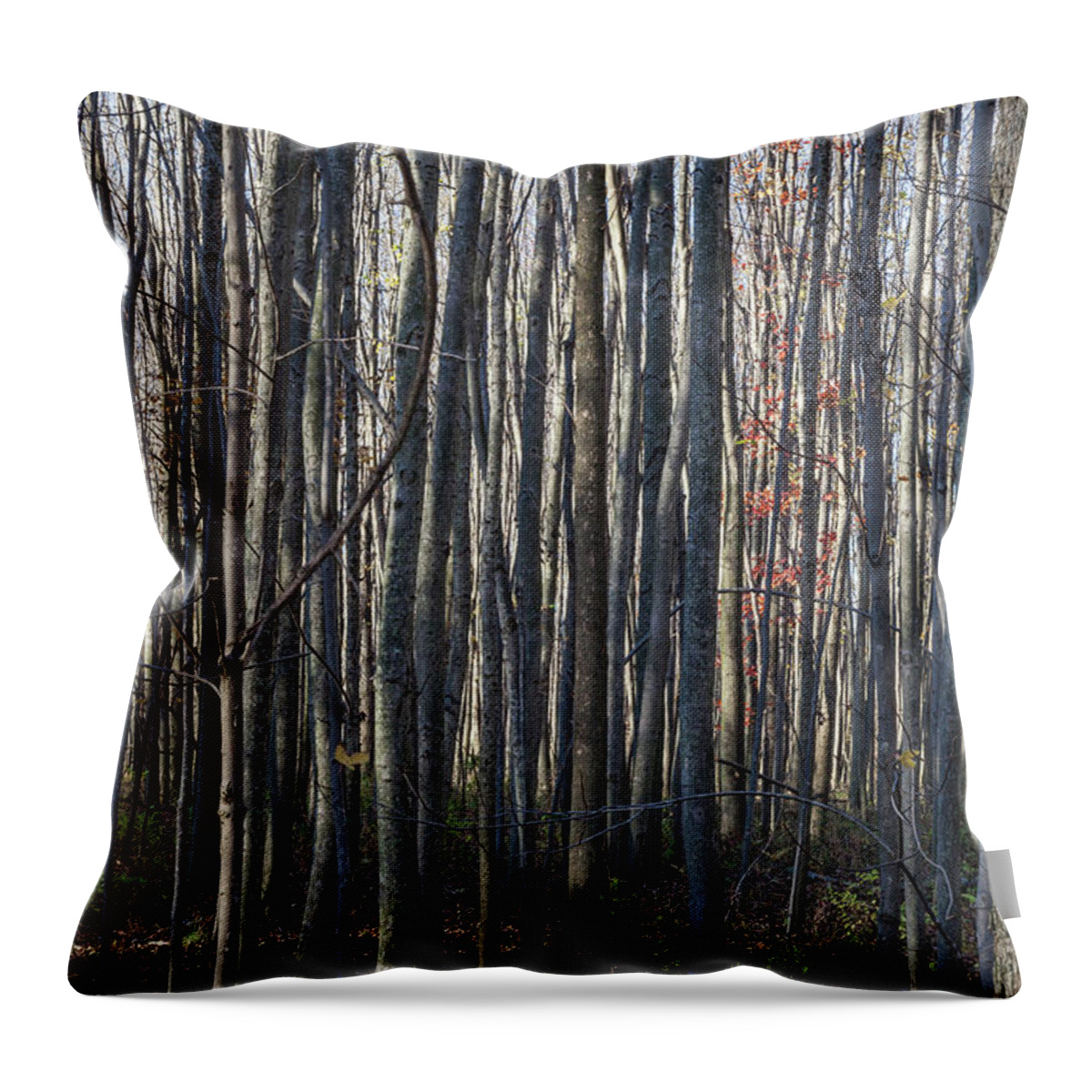 Treez Throw Pillow featuring the photograph Treez by Lon Dittrick