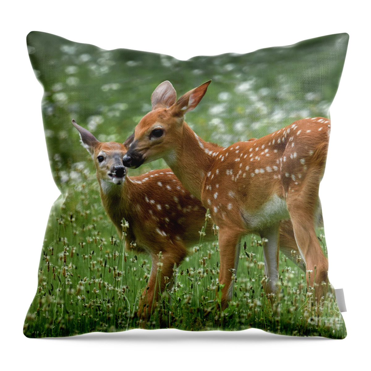 Twins Throw Pillow featuring the photograph Twins by Amy Porter