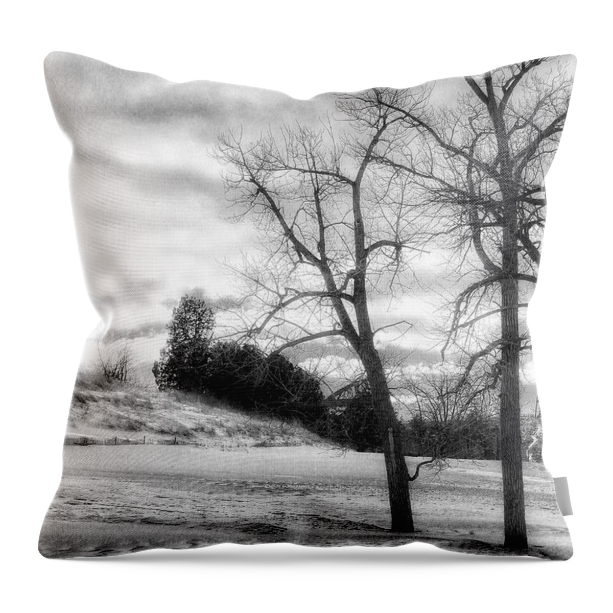 Winter Throw Pillow featuring the photograph Winter Beach by Jackson Pearson