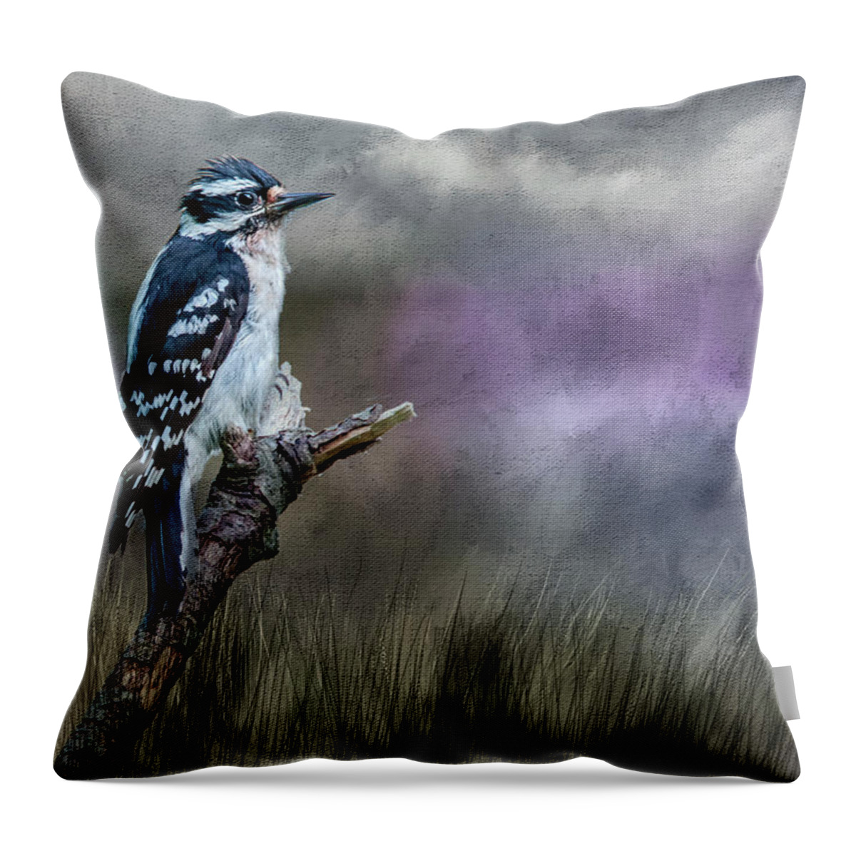 Bird Throw Pillow featuring the photograph Woody by Cathy Kovarik
