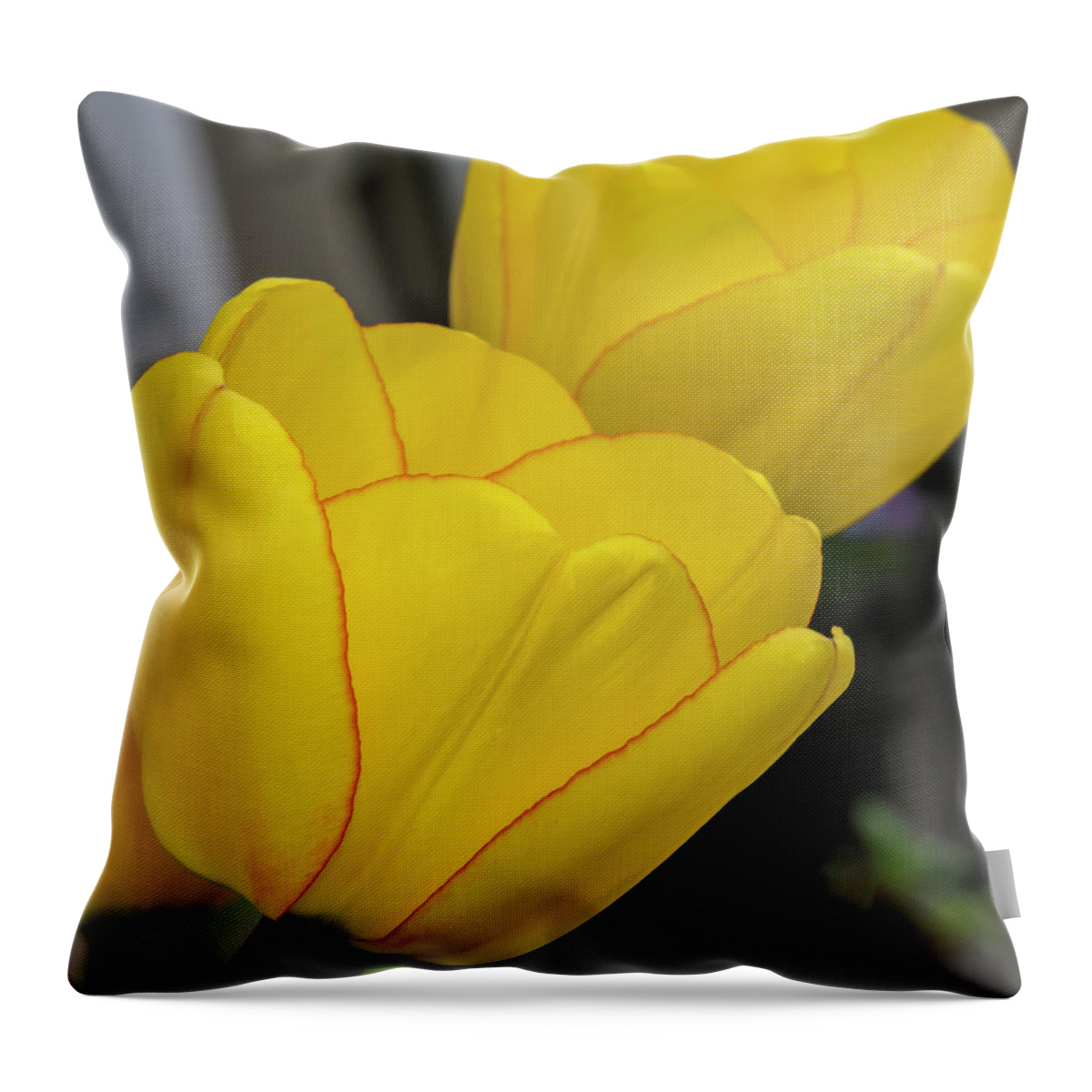 Tulips Throw Pillow featuring the photograph Yellow by Cathy Kovarik