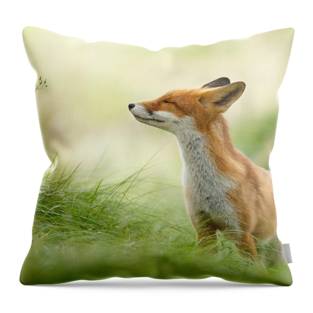 Fox Throw Pillow featuring the photograph Zen Fox Series - Zen Fox by Roeselien Raimond