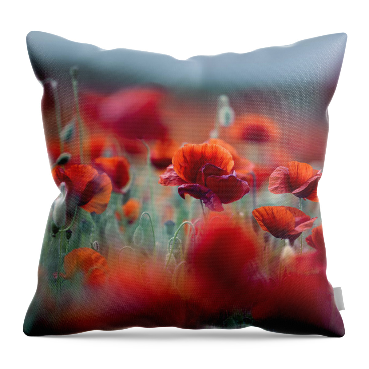 Poppy Throw Pillow featuring the photograph Summer Poppy Meadow by Nailia Schwarz