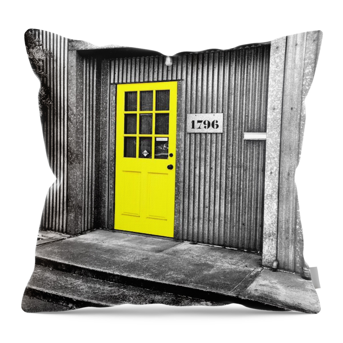 Door Throw Pillow featuring the photograph 1796 by Brad Hodges