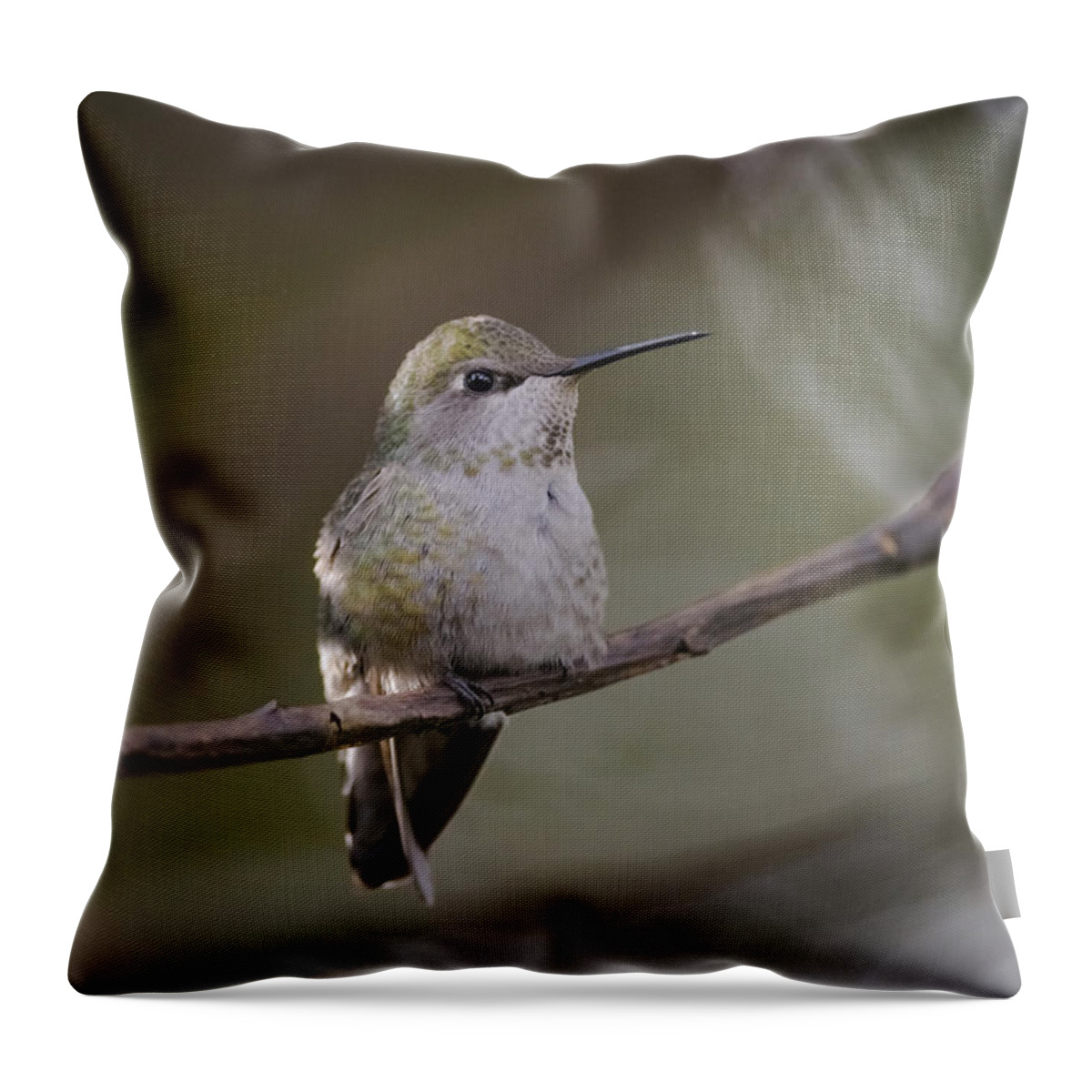 Anna's Hummingbird Throw Pillow featuring the photograph Anna's Hummingbird by Kathy King