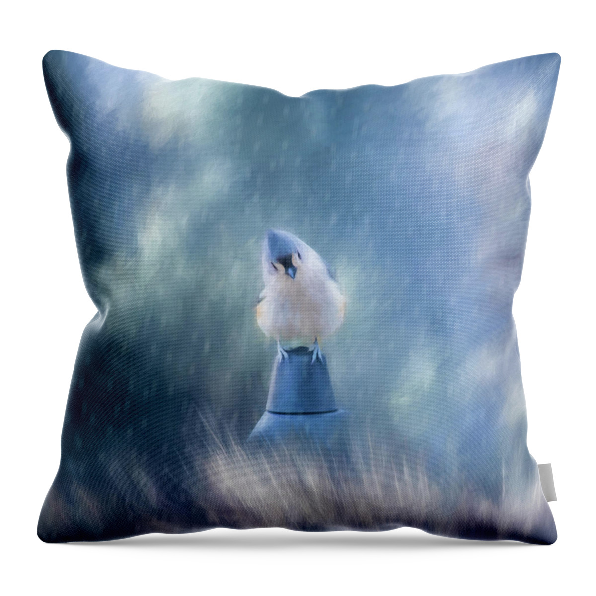 Bird Throw Pillow featuring the photograph April Showers by Cathy Kovarik