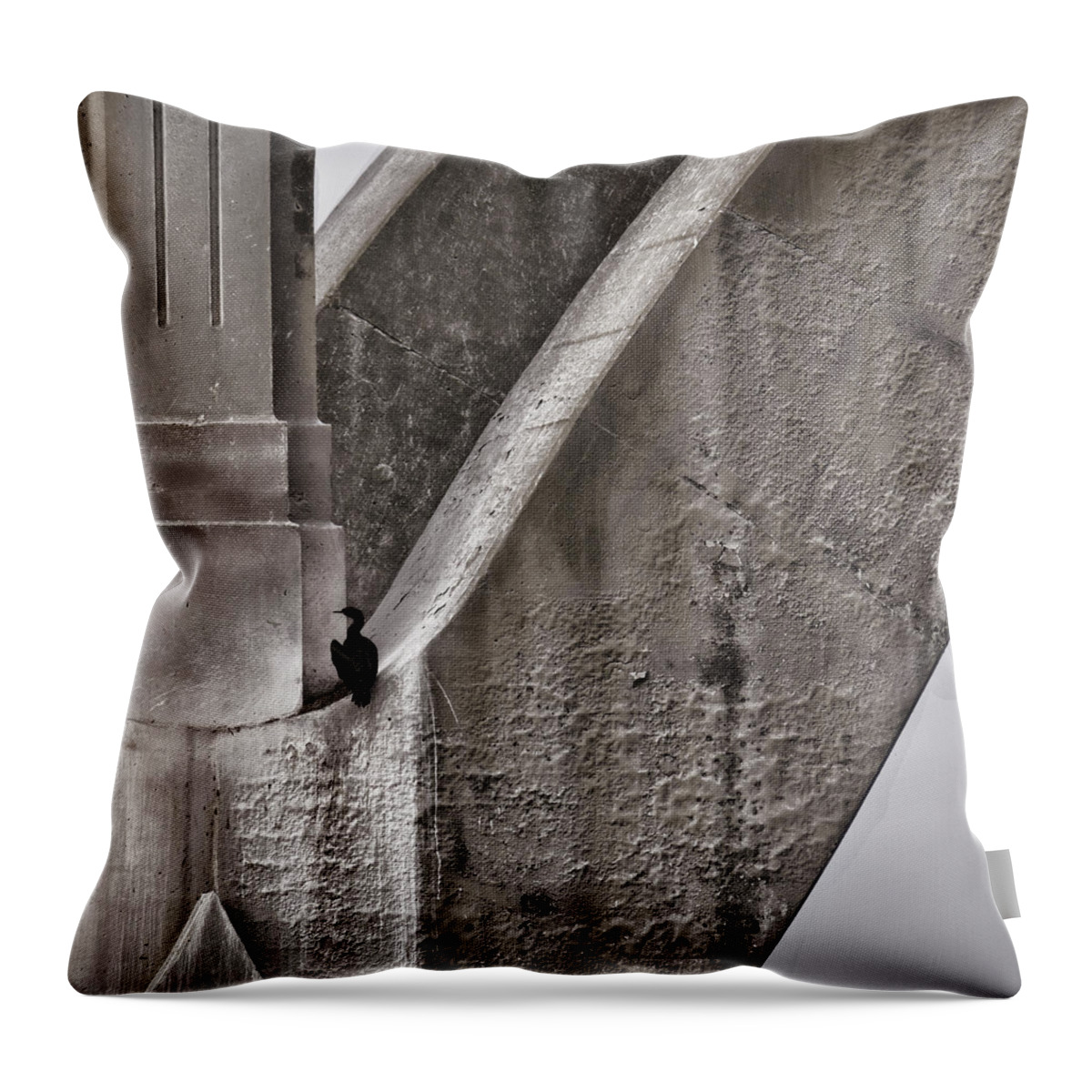 Architecture Throw Pillow featuring the photograph Architectural Detail by Carol Leigh