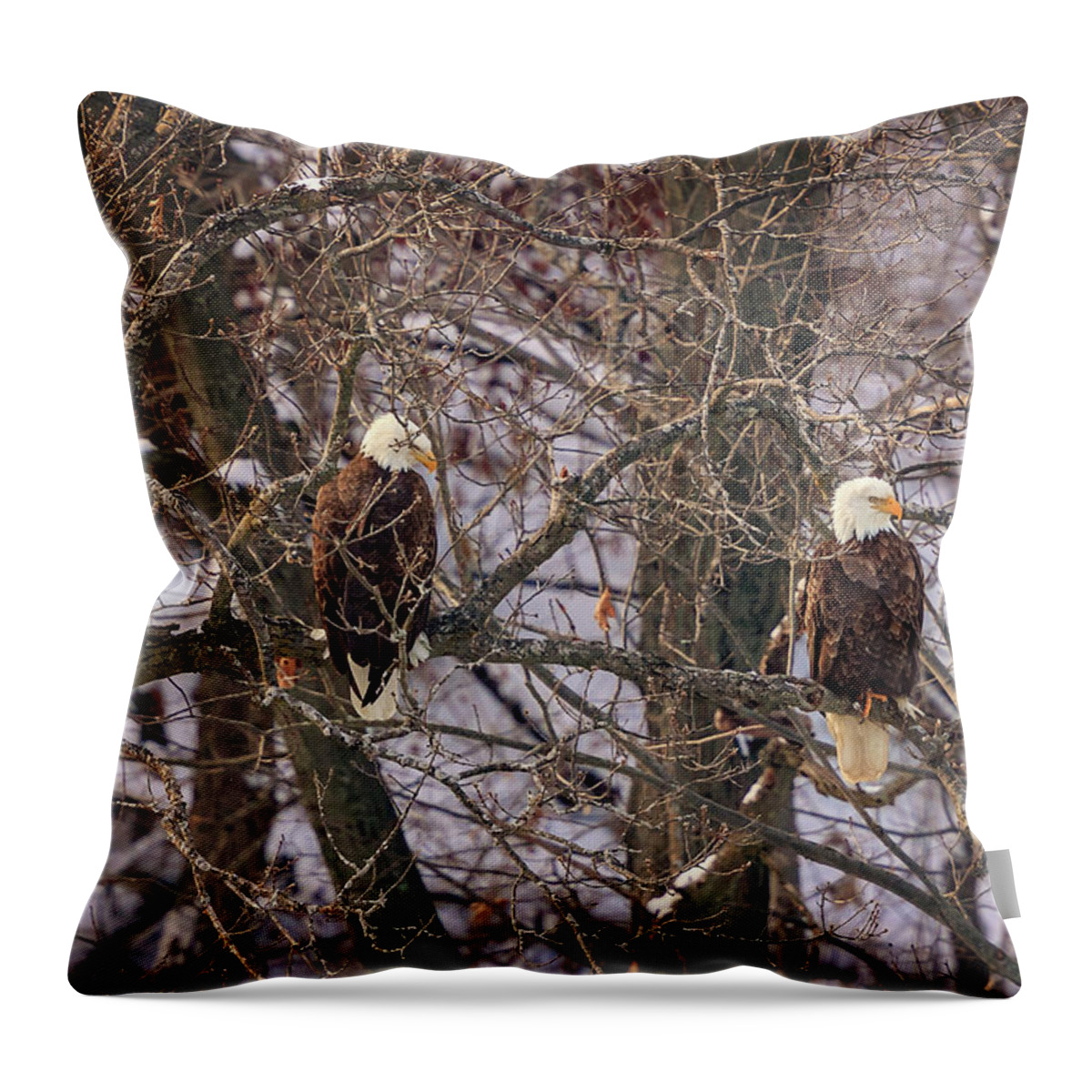 Illinois Throw Pillow featuring the photograph Bald Eagle by Peter Lakomy