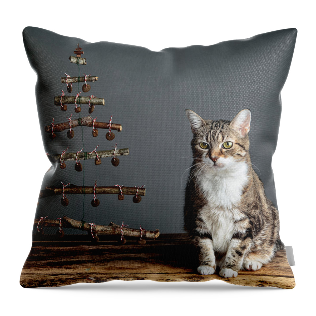 Cat Throw Pillow featuring the photograph Cat Christmas by Nailia Schwarz