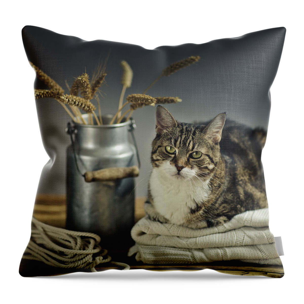 Cat Throw Pillow featuring the photograph Cat Portrait by Nailia Schwarz